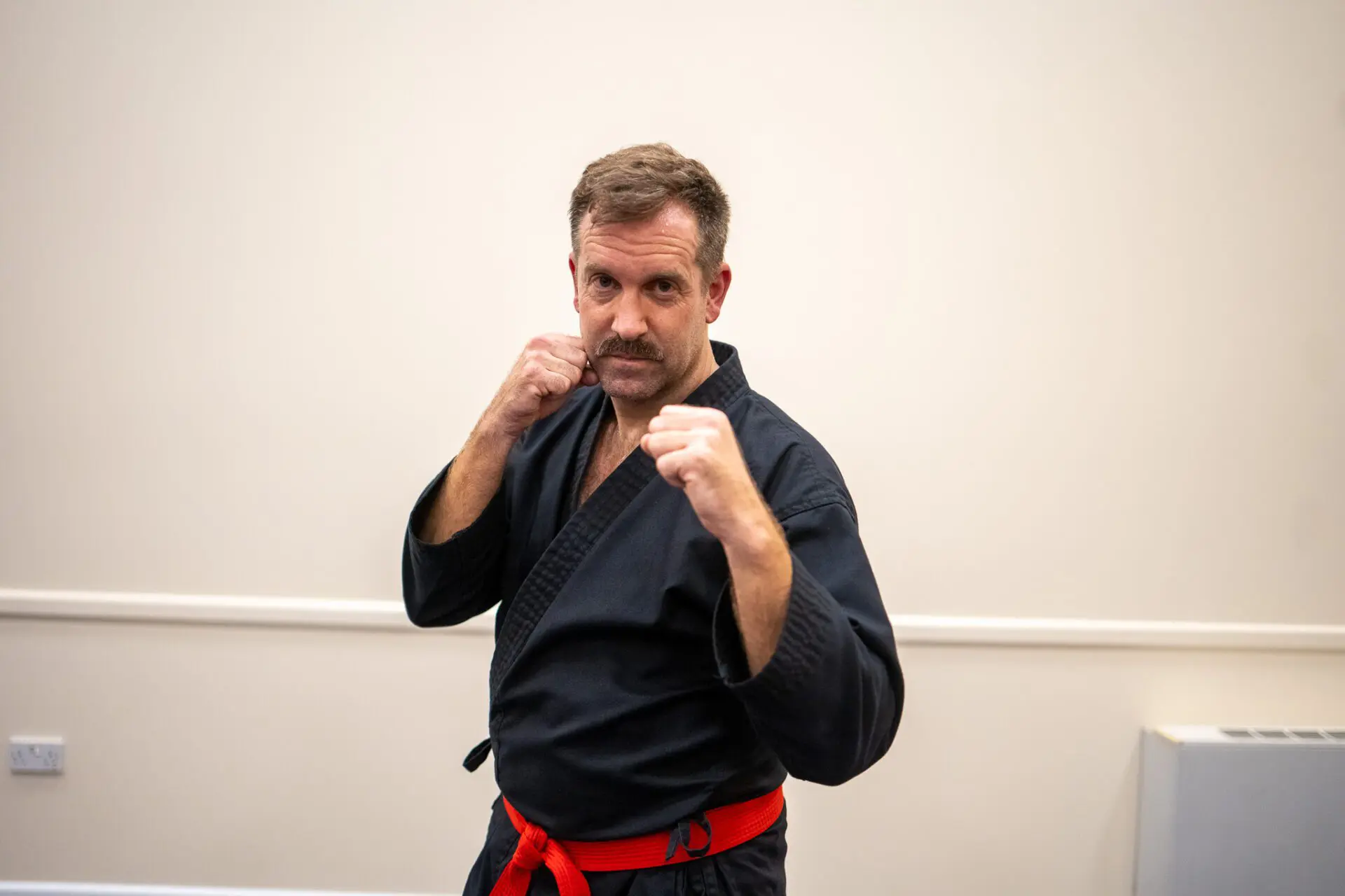 Image of a man in a karate pose
