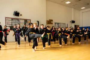 Photo of students and instructor using combinations in Karate class