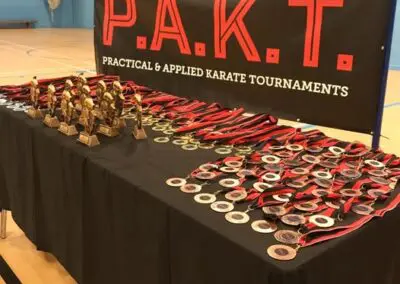 Image of medals on a table