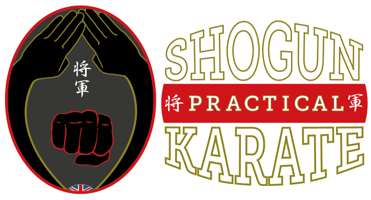 Shogun Practical Karate
